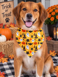 Medium Spooky Cute Halloween Dog Bandana