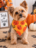 Small Jack-O’-Lantern Halloween Dog Bandana