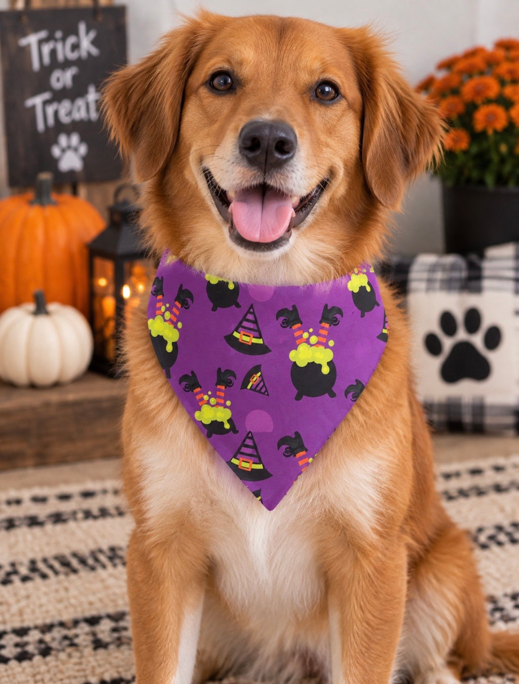 Medium Witch’s Brew Halloween Dog Bandana